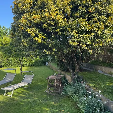 Versilia With Garden Montignoso
