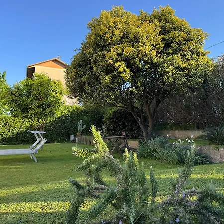 Versilia With Garden * Montignoso